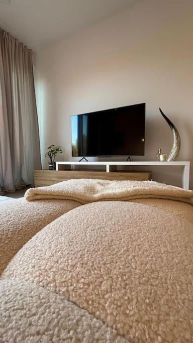 Le Prevert Design * Mons