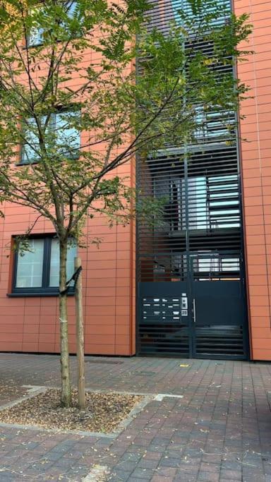 Le Prevert Design * Mons